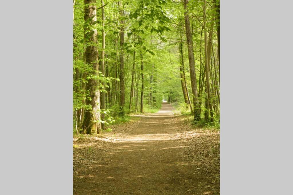 Charmant F2 de 30m2 moin cher à 15min à pied de la forêt, et à 25 min de Paris Le Mée-sur-Seine Esterno foto